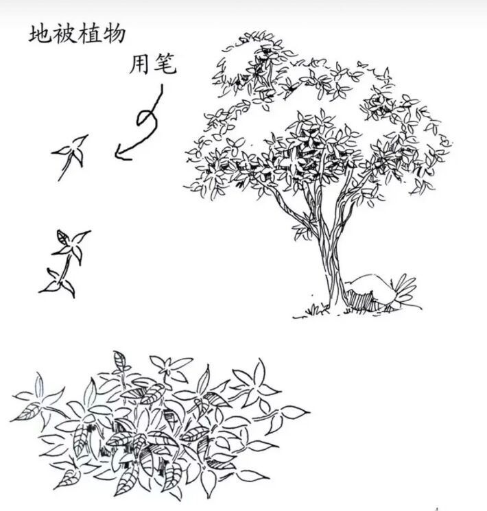 入门风景速写1000例临摹图,风景速写教你超简单的树木画法