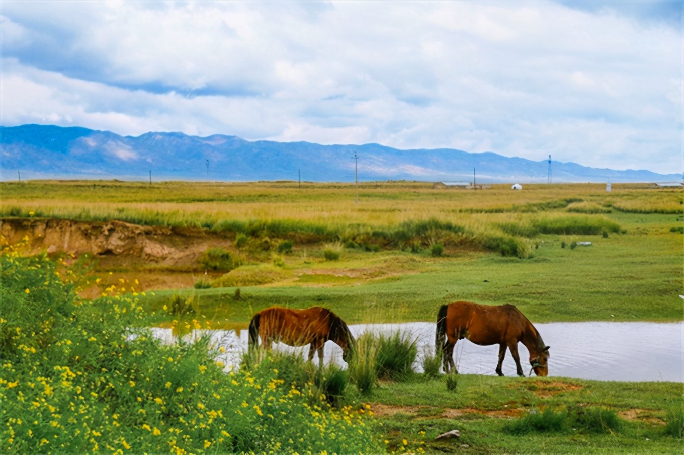 青甘大环线吃住行攻略,青甘环线自助游路线图