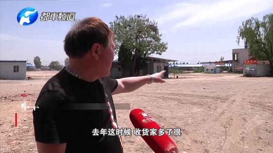 蒜你狠大蒜价格,蒜你狠改编版