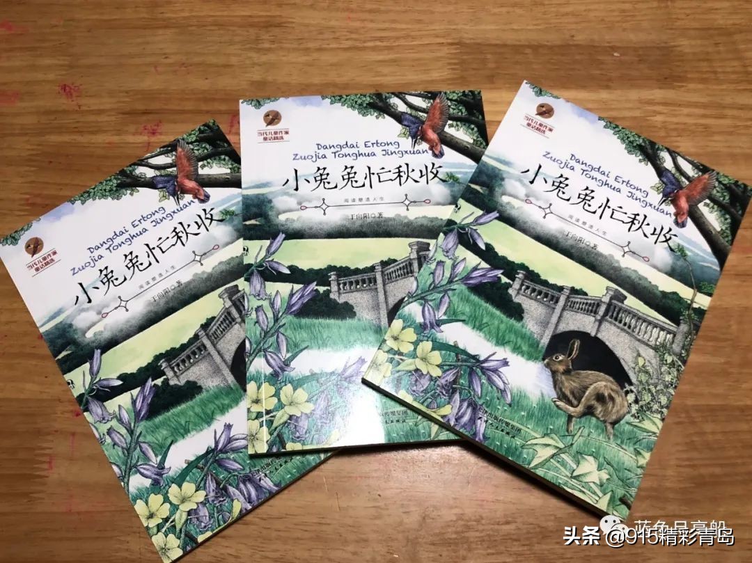 说说青岛的夜景,青岛武定路