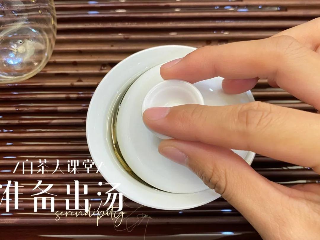白茶白毫银针好还是纯芽头好,冷泡白茶选白毫银针还是白牡丹