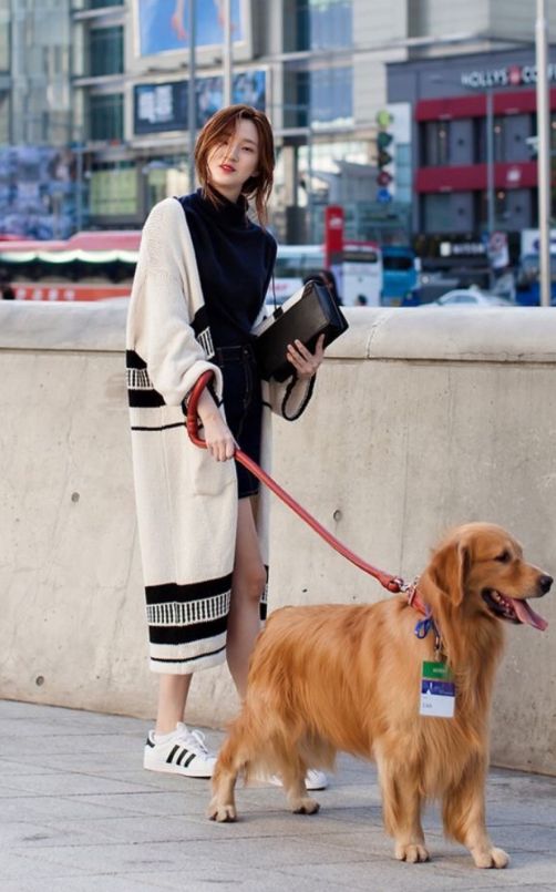 letsgo带你去兜风,letsgo旅行视频