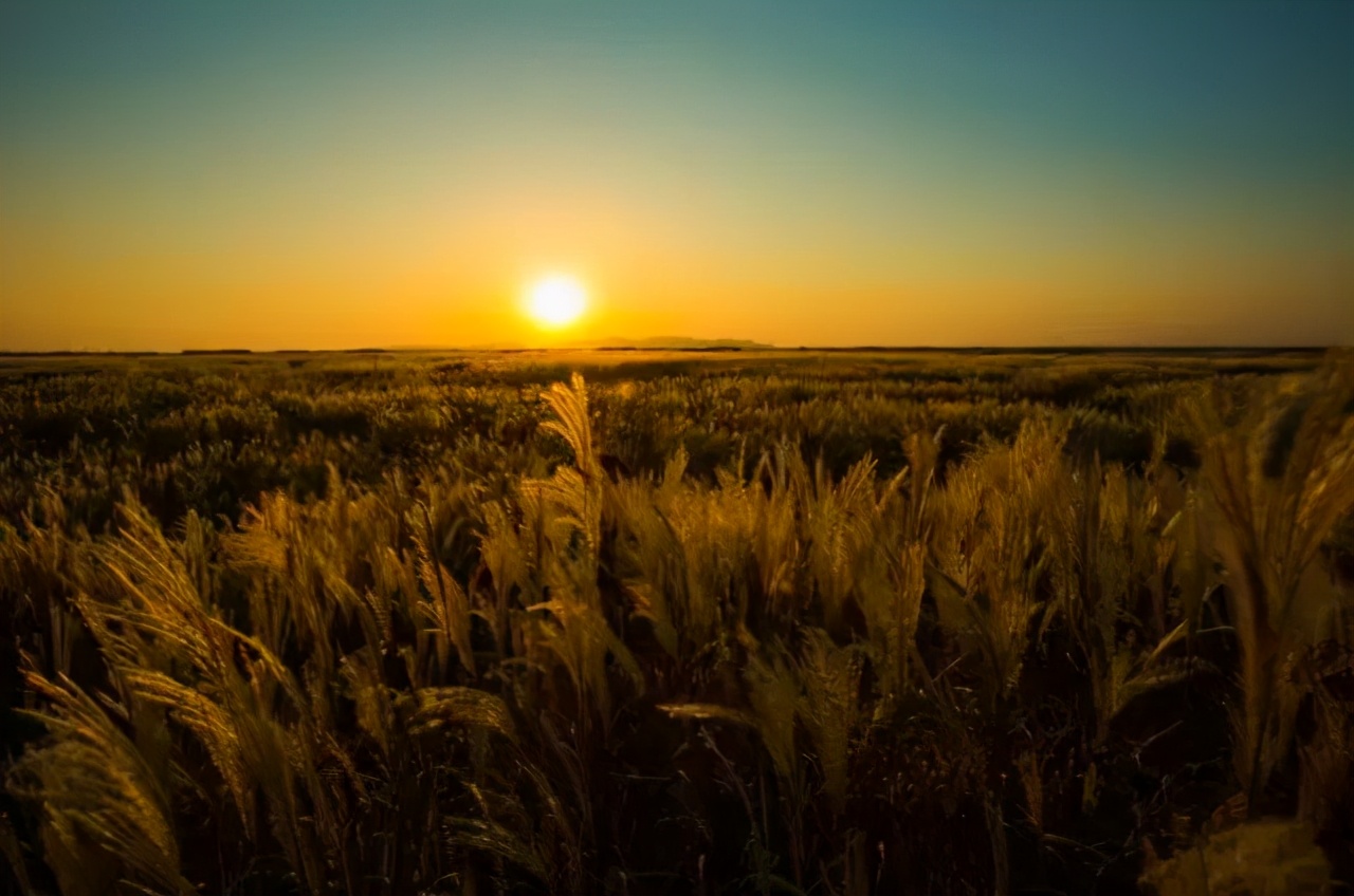 鄱湖之滨鱼米之乡,江西鄱阳湖