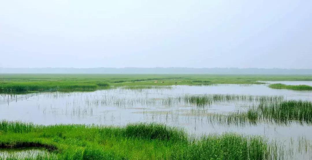 中国十大湖泊最美景点,十大风景最美的湖泊排行榜