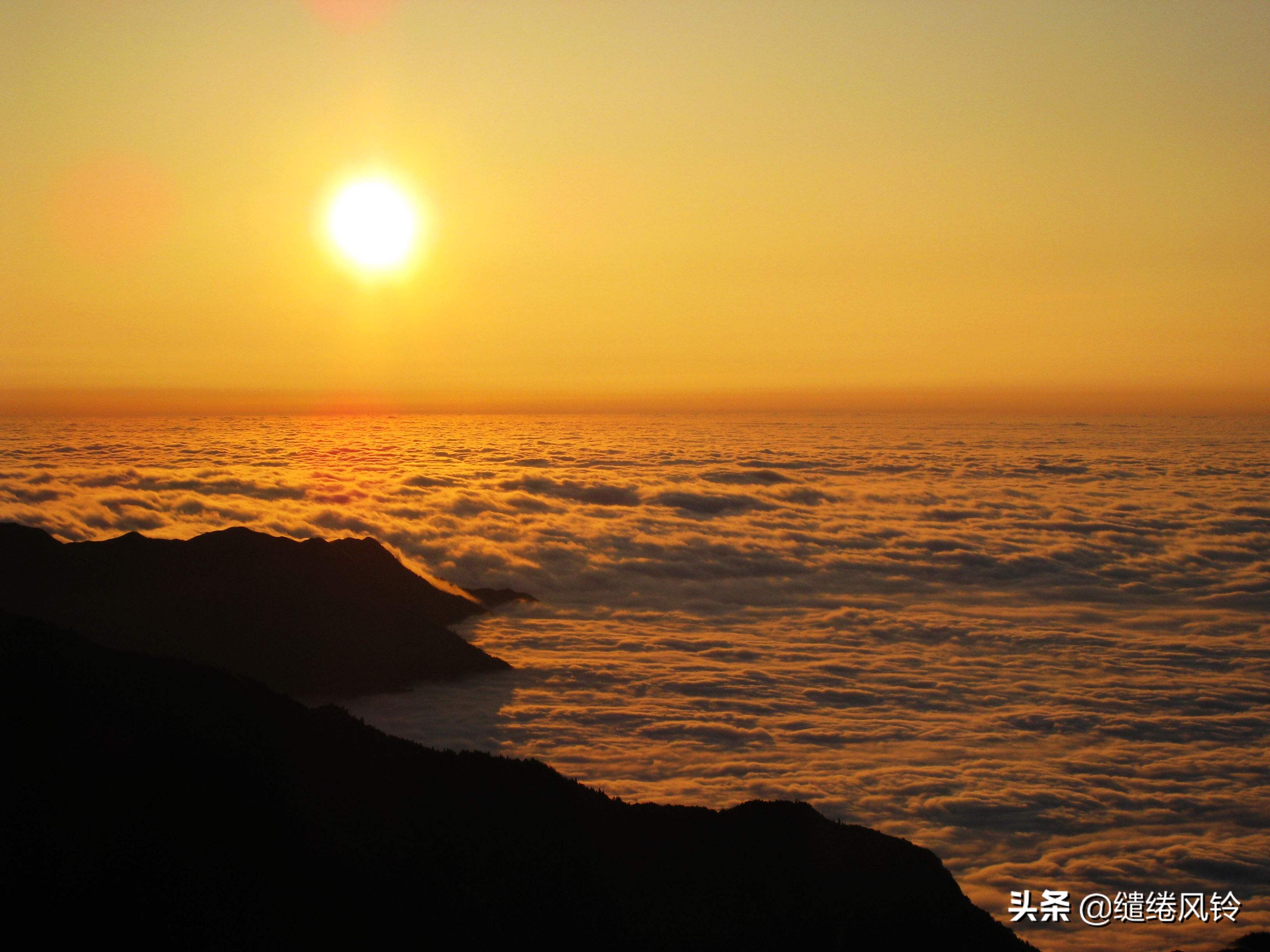 梦境的残余免费观看,梦境的残余