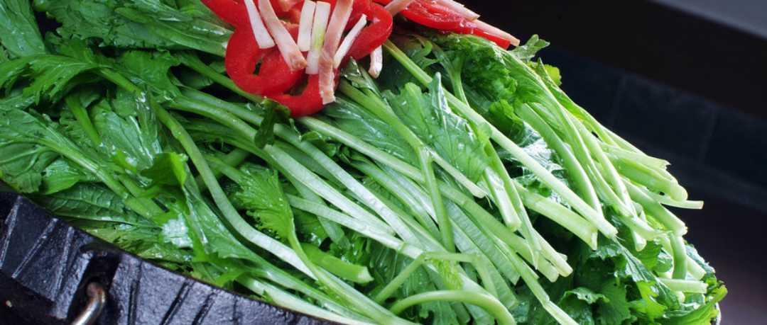 春天头痛头晕恶心要警惕四种病,春天风吹头痛什么原因