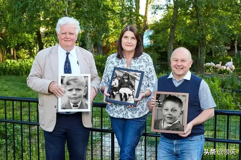 我选择平凡的人生，你为什么说这可耻？