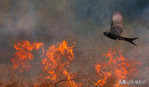 摄影金奖作品风景高清,风光摄影得奖照片