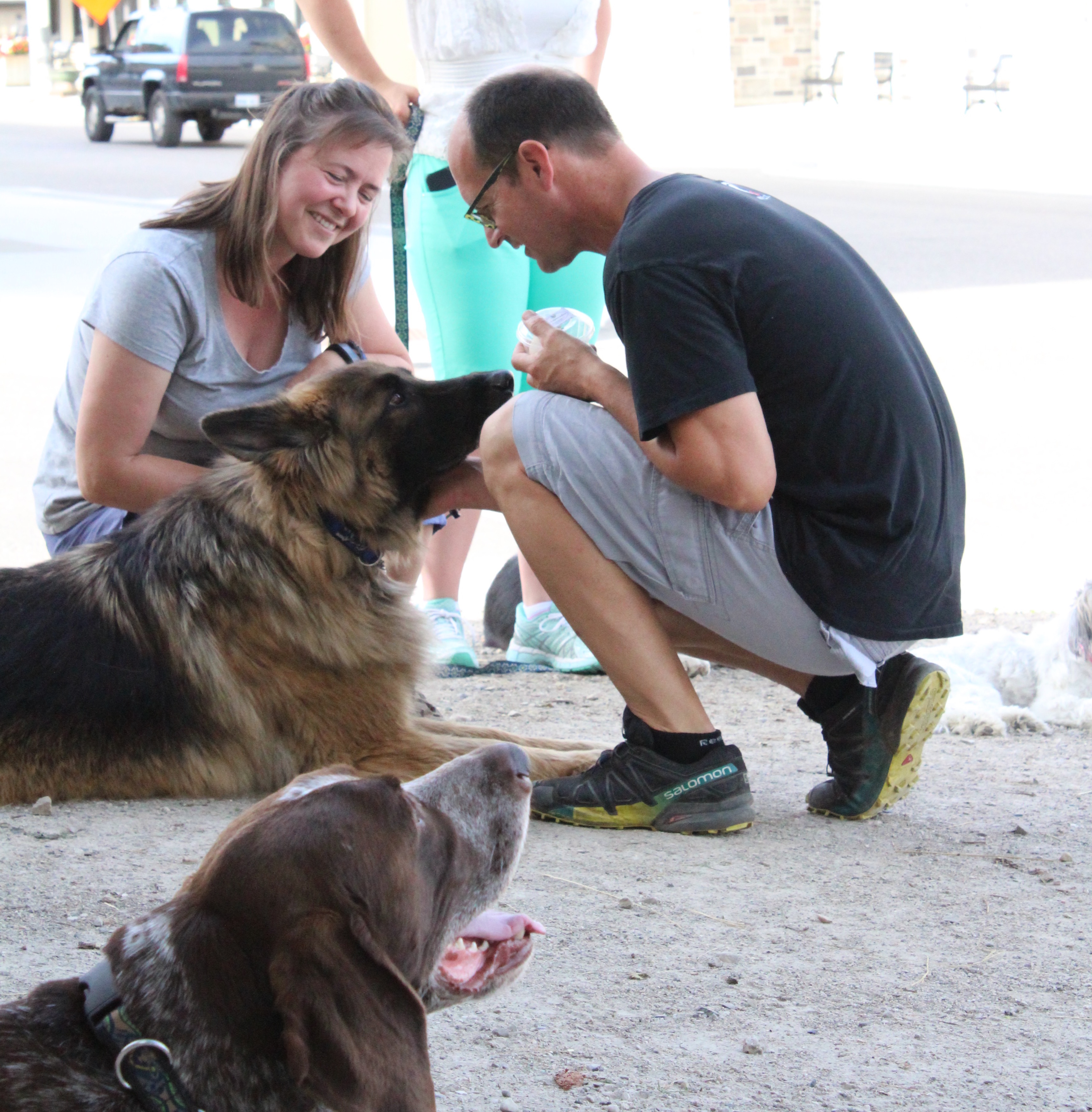 抚摸狗狗会产生多巴胺和血清素吗,摸狗真的可以降低高血压吗