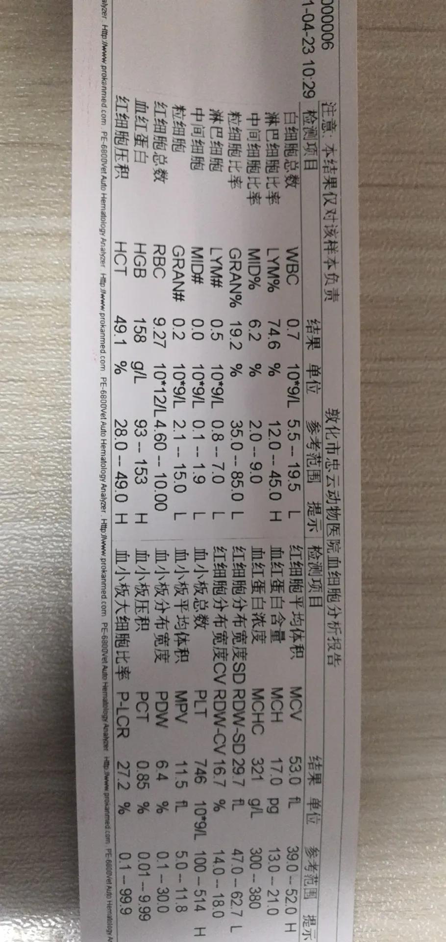 与猫瘟抗争,与它