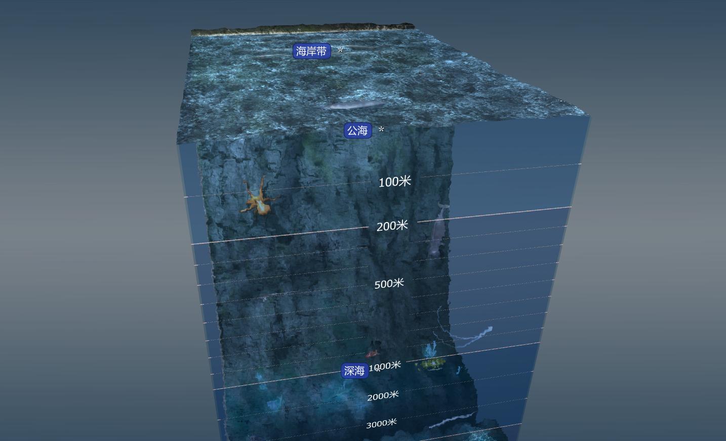 开学了，和孩子一起来看看一看海洋的分层是如何区分的吧