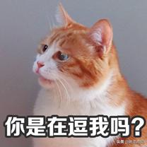 燃龙点凤节日：说说愚人节——万愚之乐在何处？