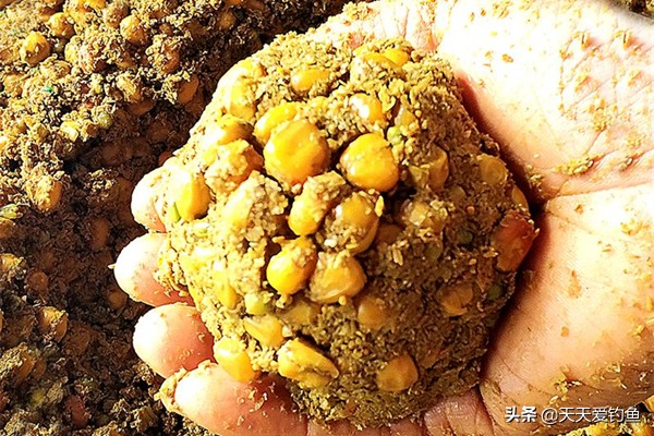 冬季野钓鲫鱼民间窝料,夏季沙河野钓鲫鱼配食