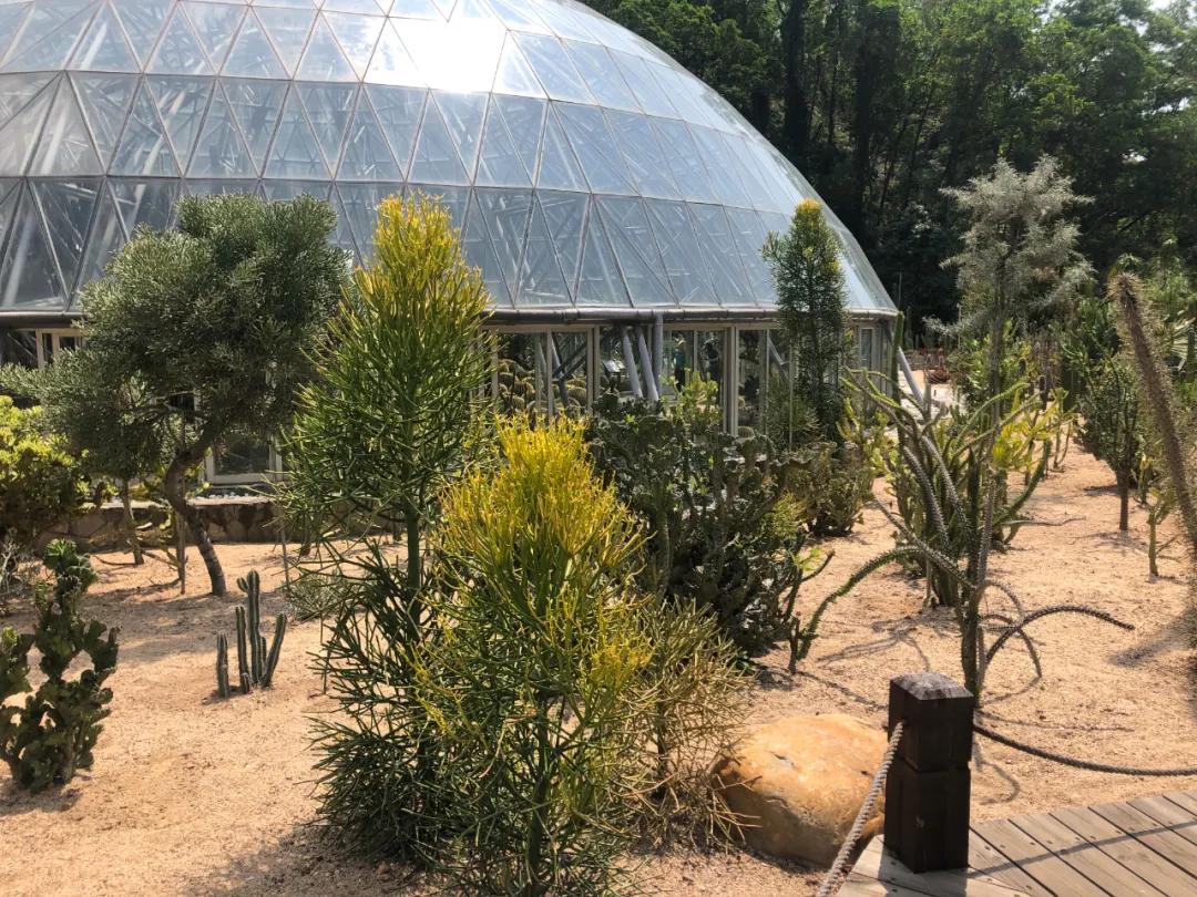 花园庭院设计花卉园艺,花园搭配的草类植物