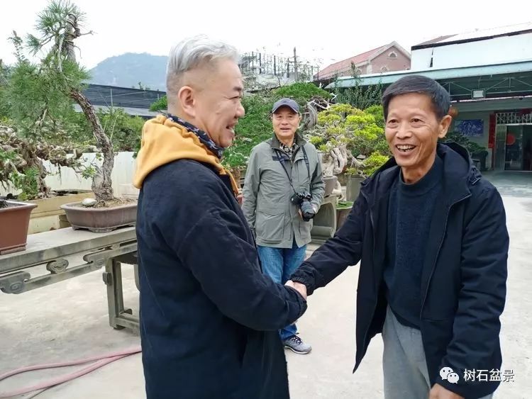 伟大使命复兴中国盆景艺术事业——2019中盆会大事回顾(下篇)