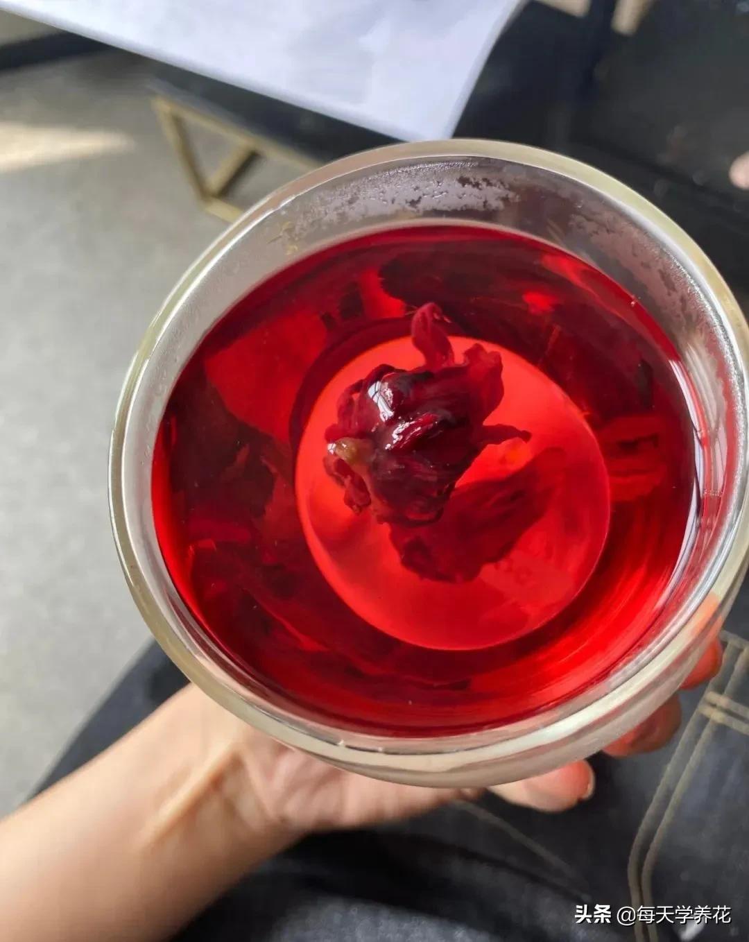 8种夏天常吃的花，清热降火，越吃越健康