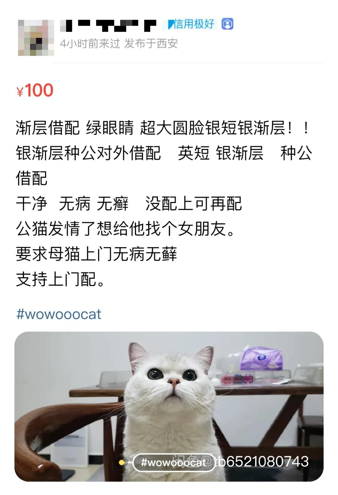 后浪西安,后浪陕汽西安