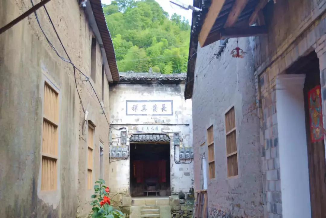 丽水上热搜,浙江丽水现萤火虫星海