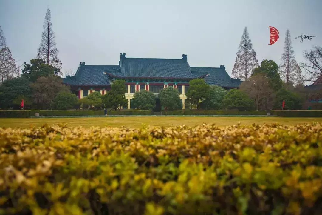 南师大马拉松开幕式,最美南师