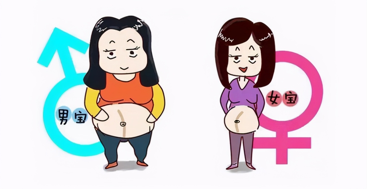 祖传秘方真的决定性别吗,中医帮助生男孩原理