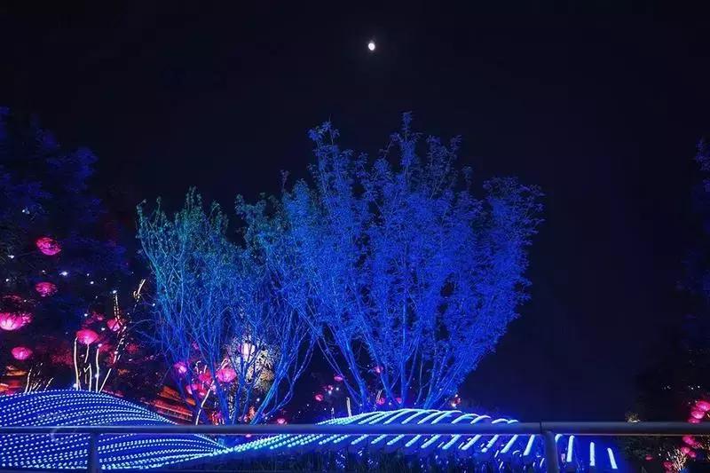 高铁直达西安旅游攻略,坐高铁到西安游古城墙和大雁塔