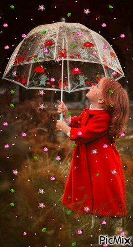 神秘的水中花,趣味神奇的水中花