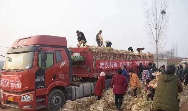 疫情期间你熬得住吗 (如果疫情再下去你能熬多久)