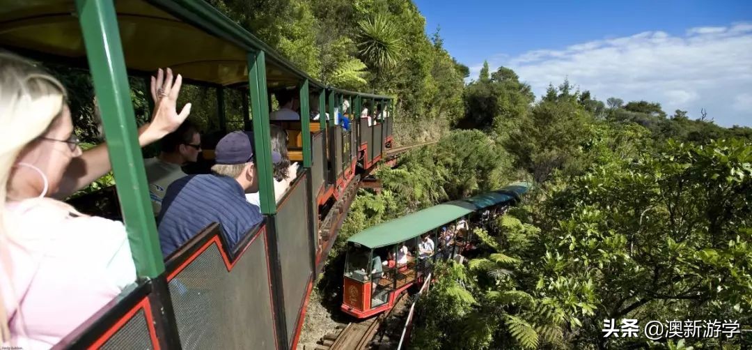 新西兰北岛自驾游攻略,新西兰北岛攻略3日行程规划