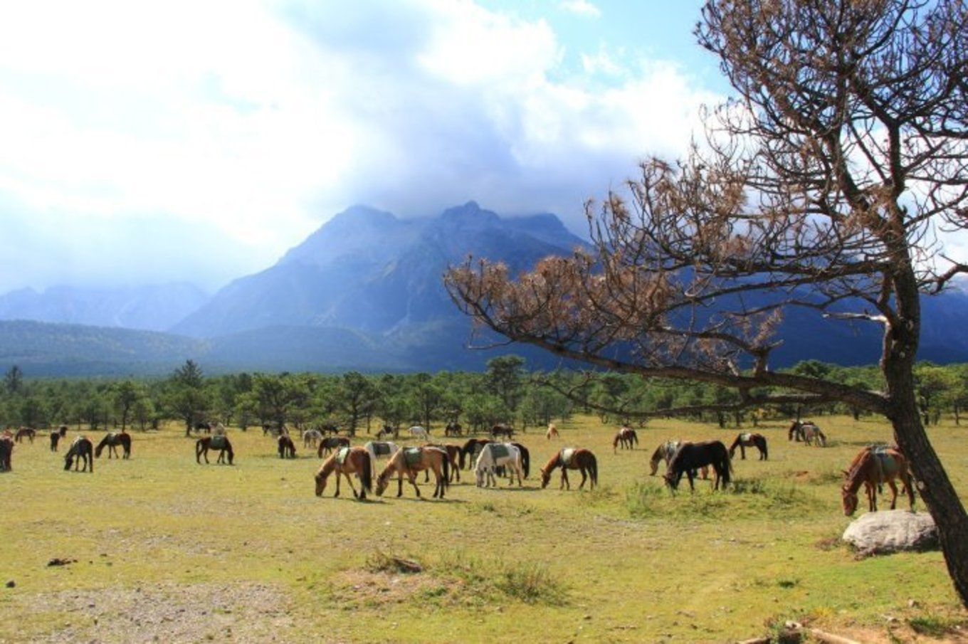 丽江玉龙雪山一日游,玉龙雪山一日游怎么走