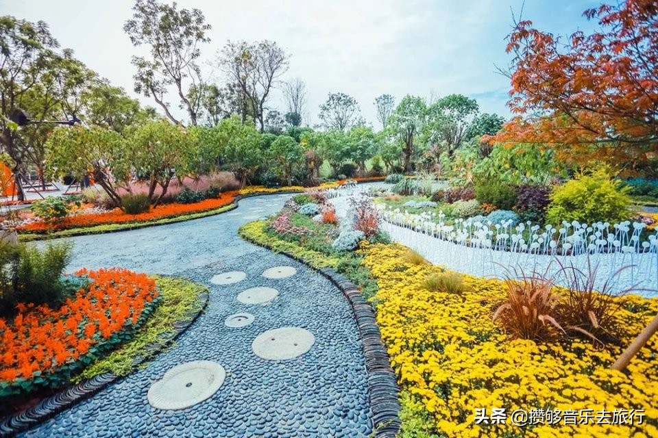 来成都逛绿道,逛绿道