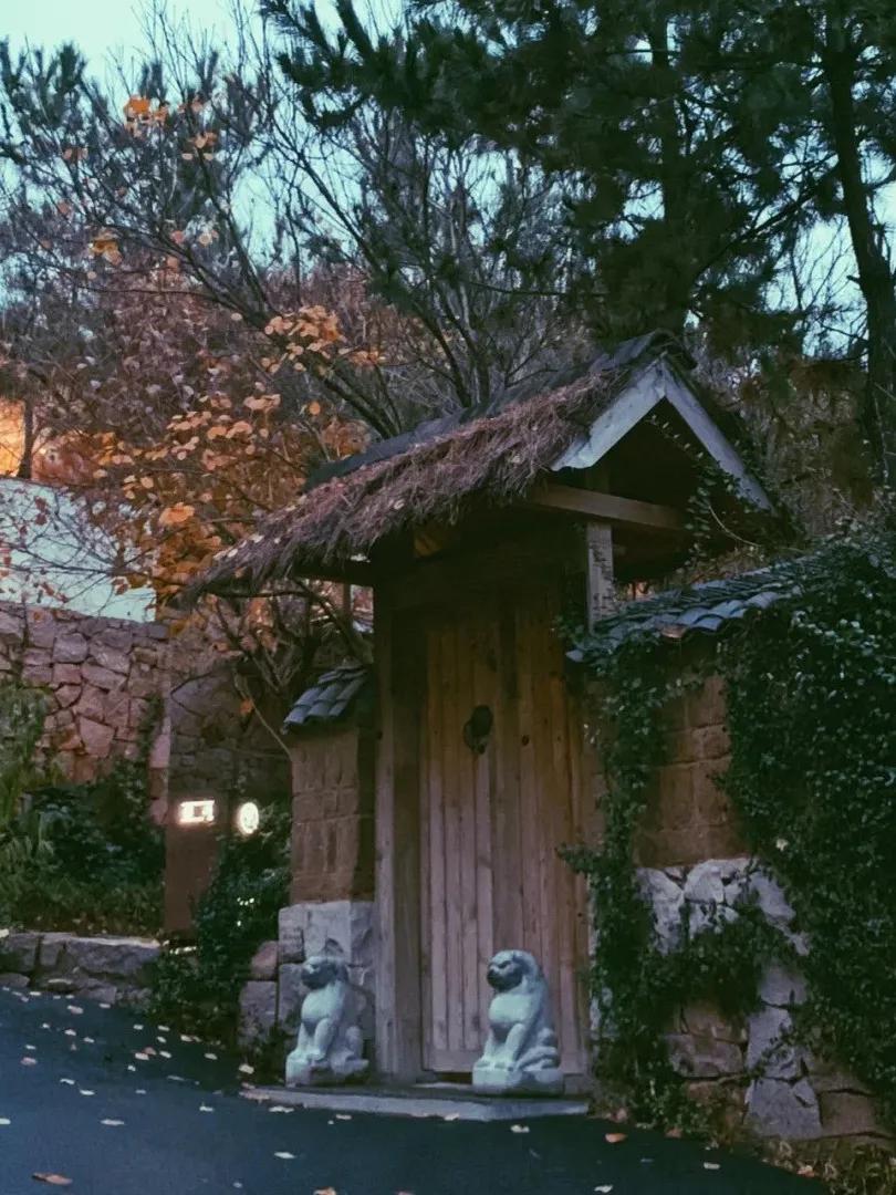 山东冬天温泉推荐,山东室外温泉推荐的30个温泉