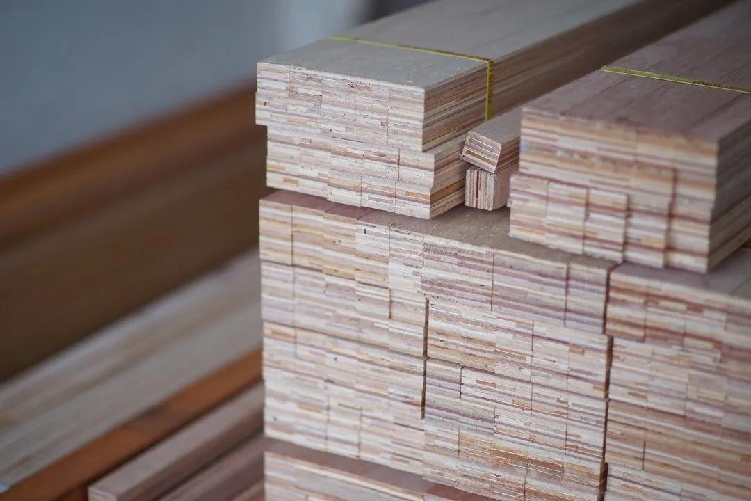 新房防甲醛的植物,新房防甲醛买什么植物