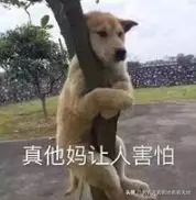 男人都是下半身动物？BBC来揭秘了！