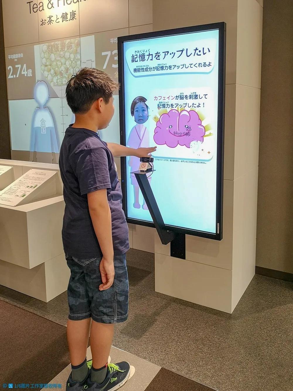 日本的茶博物馆,日本茶之都茶道体验