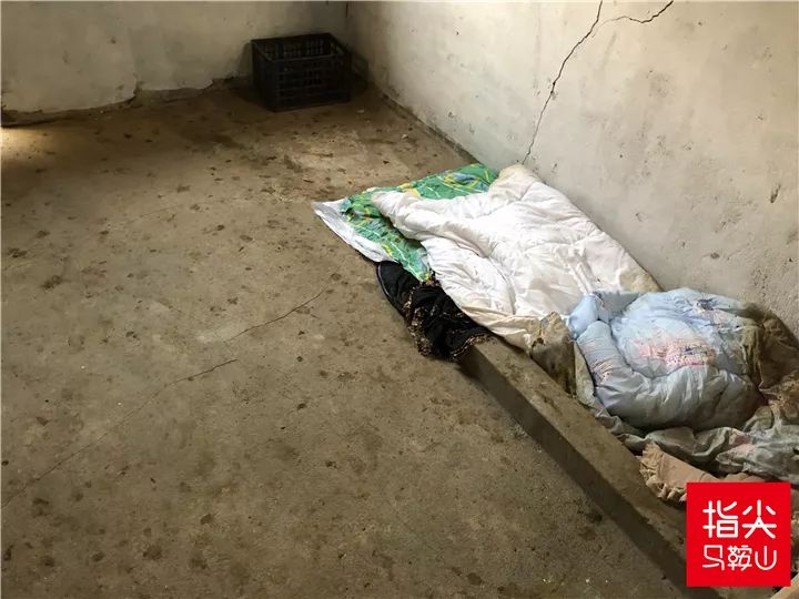 马鞍山流浪狗救助中心在哪里,曝光流浪狗救助真相