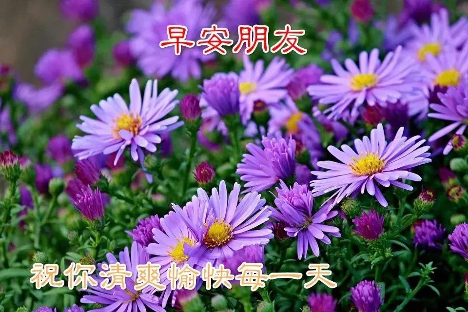 早安佛祖祝福带字美图,最新早安带字祝福图片