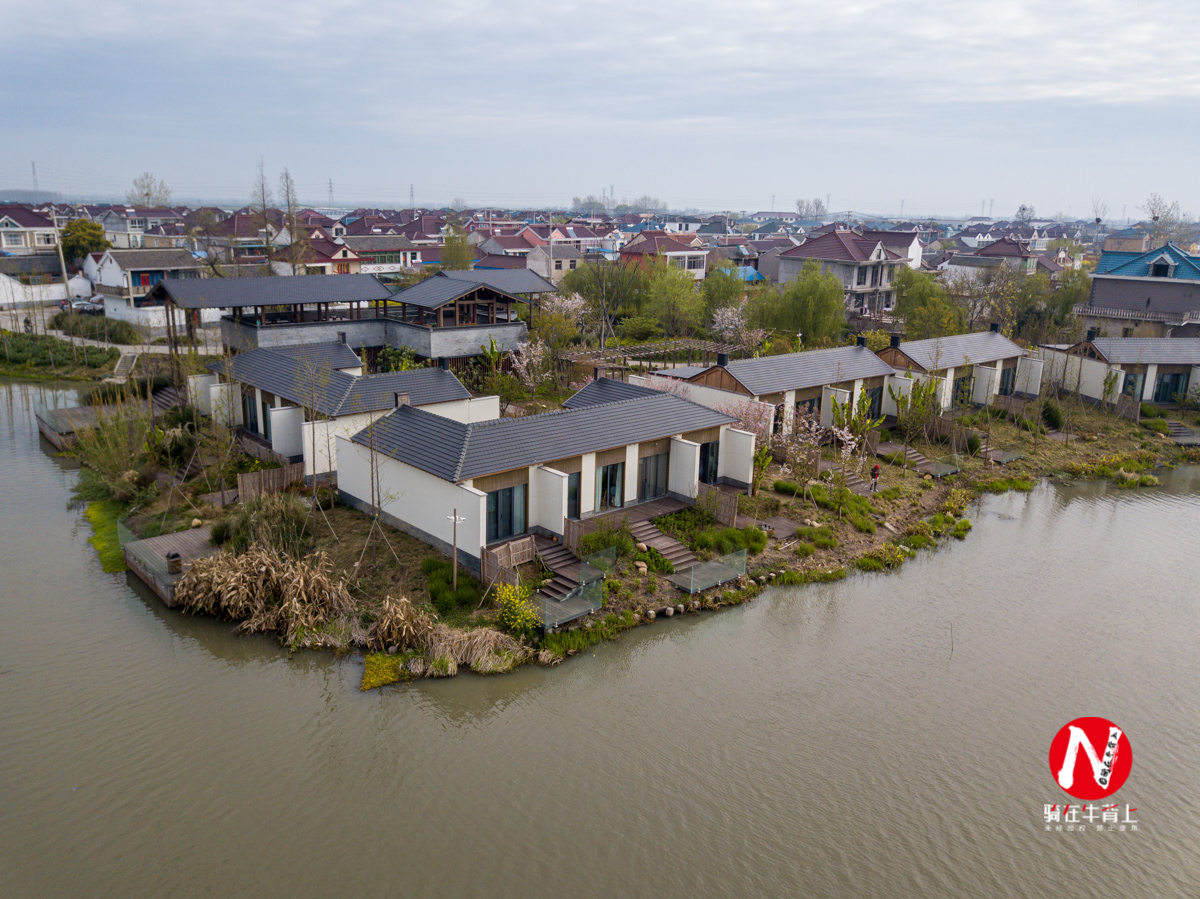 兴化看油菜花一日游,兴化千亩油菜花旅游
