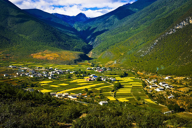 茶马古道对民族发展带来了什么,茶马古道对现代中国的意义