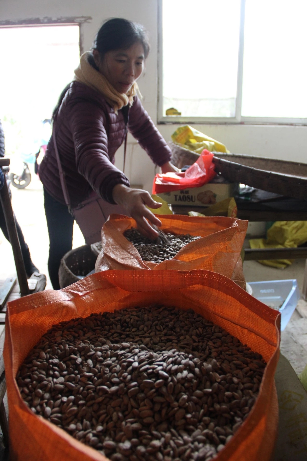 点赞！高位瘫痪的汪永明不等靠要独自经营几十亩果园艰难度日