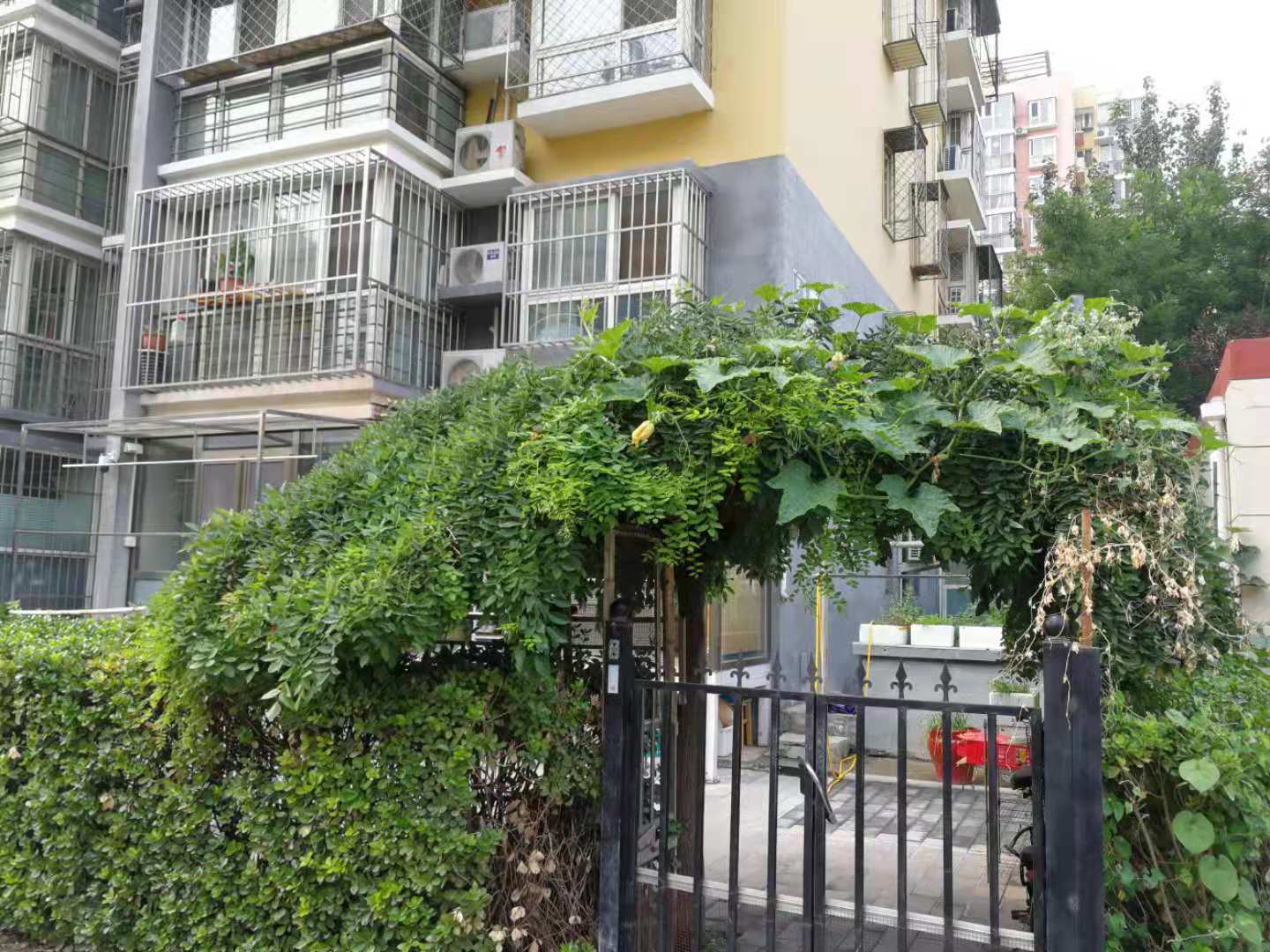 朝阳区哪里的房子最便宜,朝阳区哪里的房子值得买