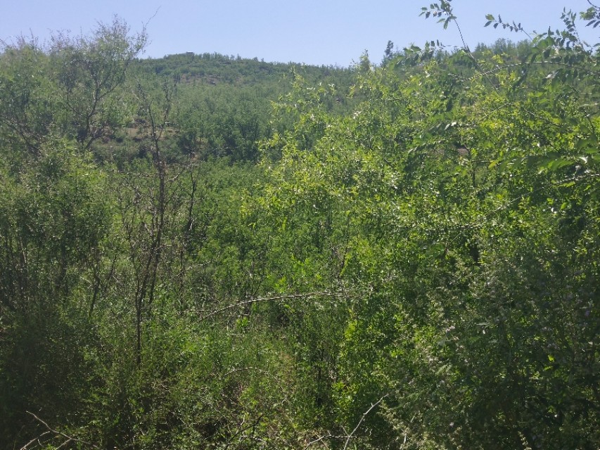 山东鲁家峪自然风景,鲁家峪泉水景点