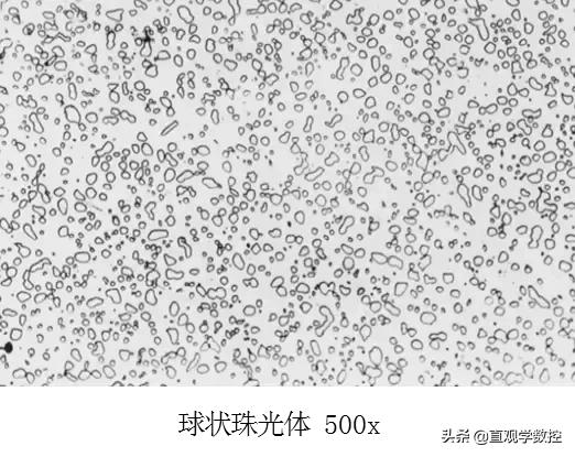 金相如何分辨奥氏体和铁素体,马氏体奥氏体金相