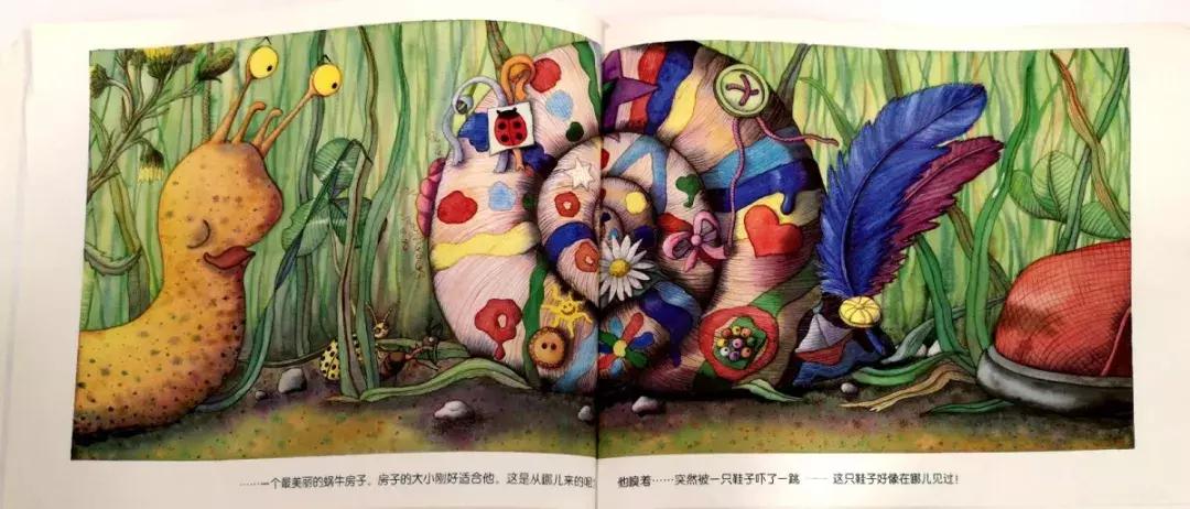 蜗牛躲在小房子里不出来怎么办,没有蜗牛壳的蜗牛是怎么回事