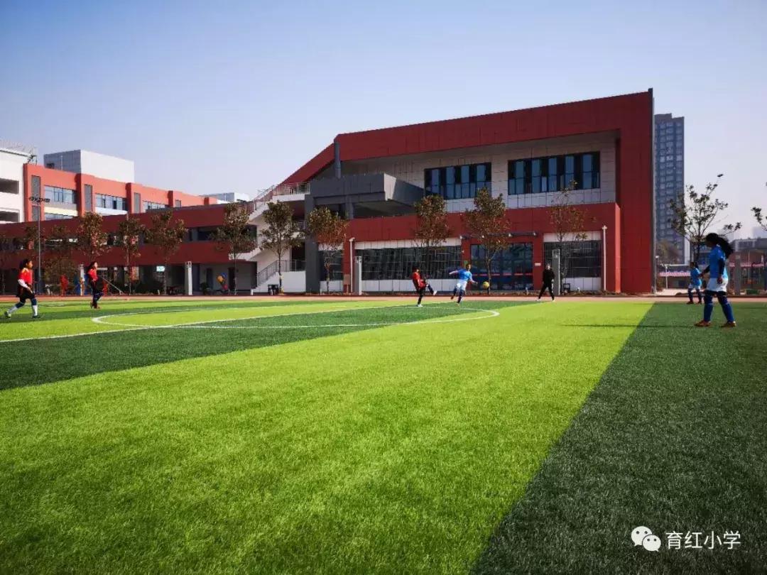 育红小学足球比赛,育红小学2024运动会