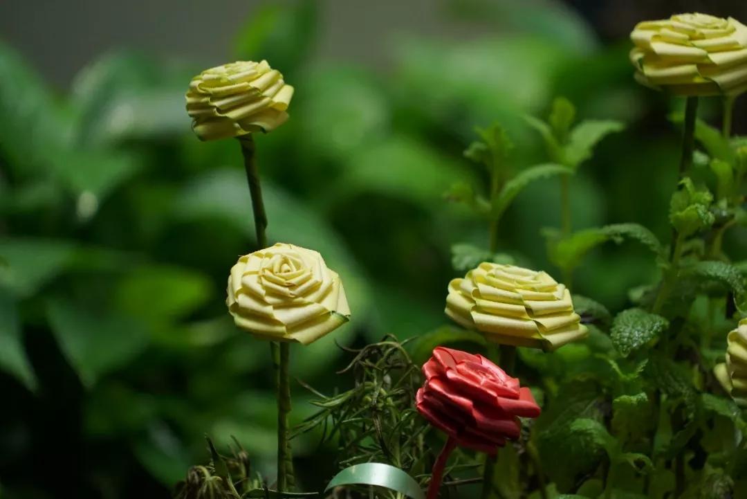 1-3岁幼儿折纸玫瑰花不用剪刀,一二三年级手工玫瑰花不用剪刀