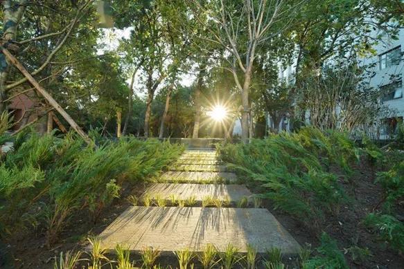 校园文化景观改造设计,校园景观改造