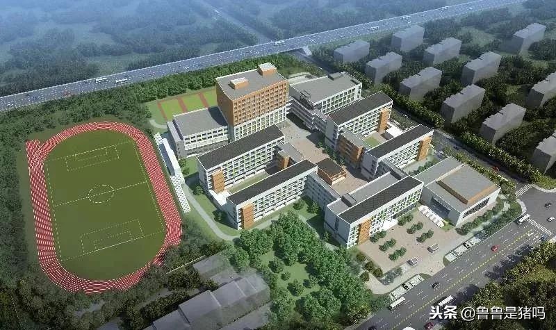 苏州有哪些五年一贯制学校,苏州园区九年一贯制学校排名