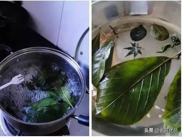 超惊艳的树叶手工,有趣的树叶手工制作