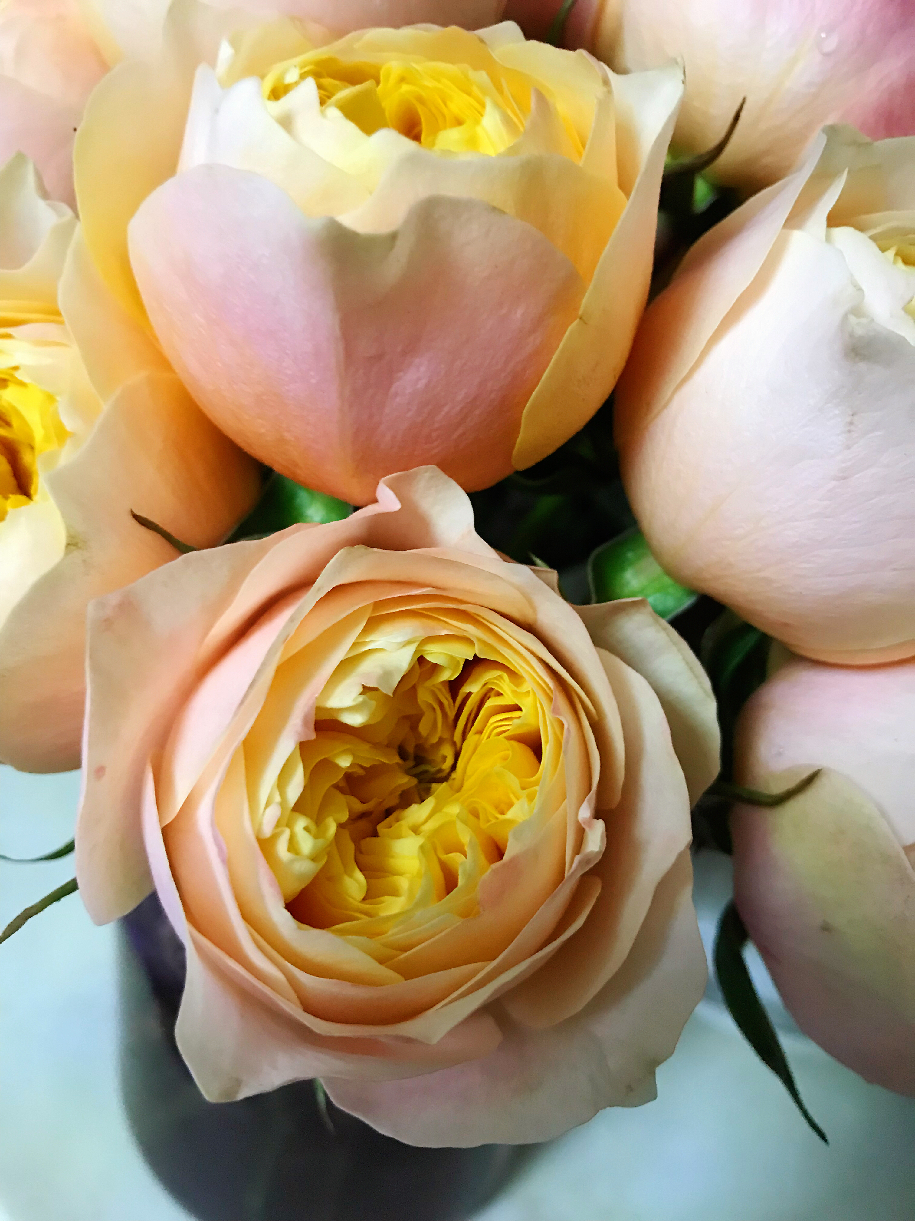 一份营养合理的一日食谱,学生营养餐一日食谱视频