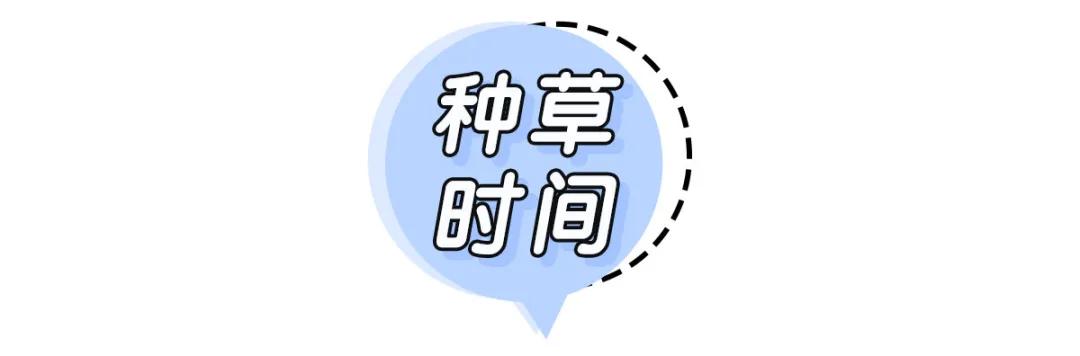 牛仔衬衫叠穿女秋冬,衬衫叠穿法教程